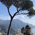 Ravello, il pino che "abbraccia" la Costiera Amalfitana si rifà il look [FOTO]