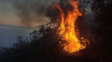 Ravello, emanata ordinanza con precisi divieti per prevenire rischio di incendi boschivi 
